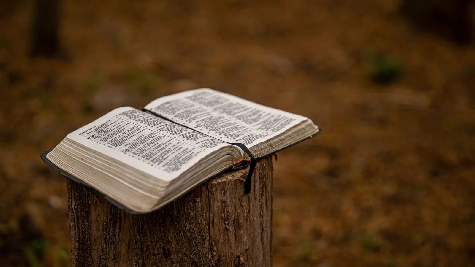 Stop Chasing Miracles: Why False Prophets Keep Winning